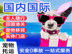 青山航空物流国际宠物托运 【国